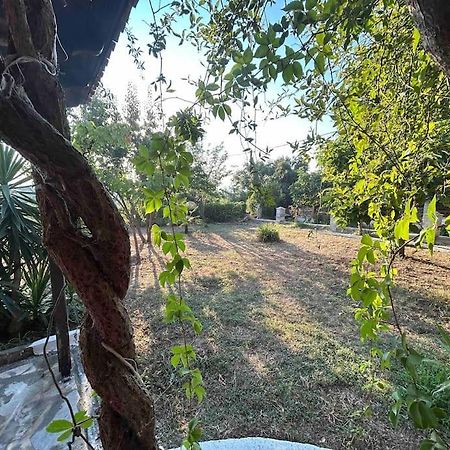 Yourlittlemiracle-Panoramicview+Firepit+Garden+Bbq Argalastí Ngoại thất bức ảnh
